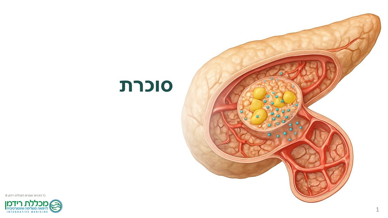 שקופית פתיחה אחרי — סוכרת עם איור לבלב ב-AI